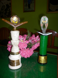 Piala Adiwiyata Kabupaten dan Propinsi Bersanding